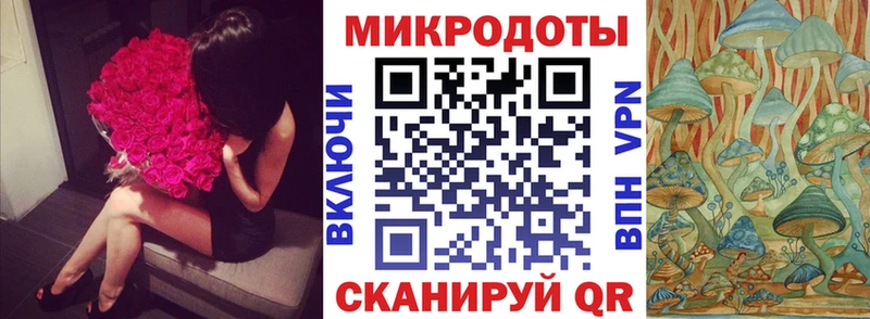 Галлюциногенные грибы Cubensis  наркота  Бердск 