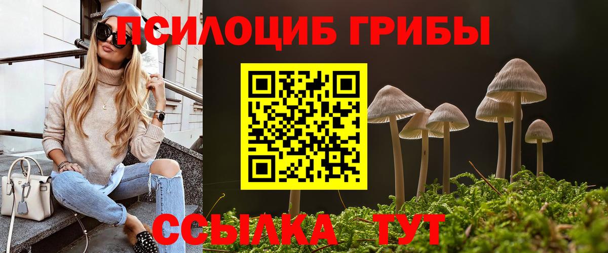 Псилоцибиновые грибы Cubensis Бердск