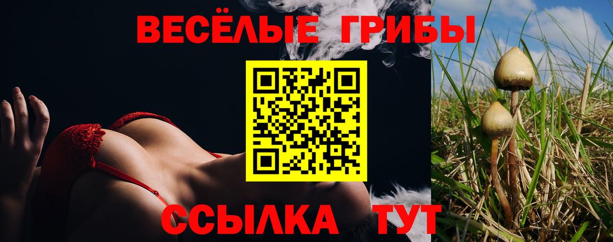 Псилоцибиновые грибы GOLDEN TEACHER  Галлюциногенные грибы мухоморы  Бердск  Вход с VPN 