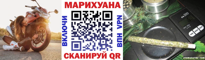 где найти   Бердск  Каннабис сатива 