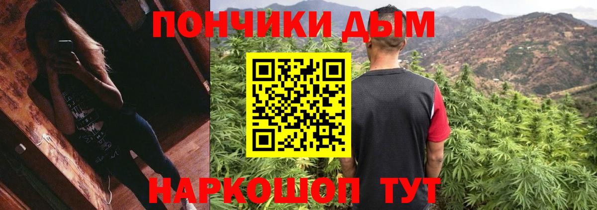 Каннабис сатива Бердск